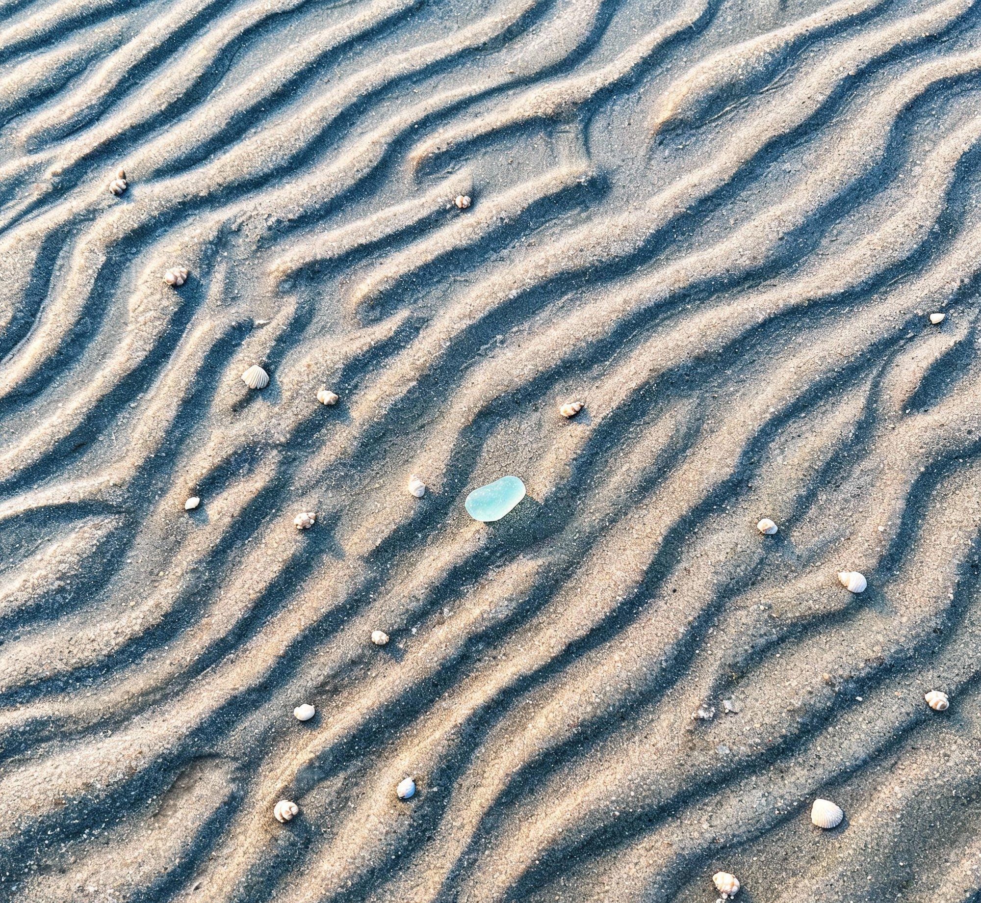 退潮后的沙纹